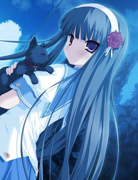 เลี้ยงแมวดำ