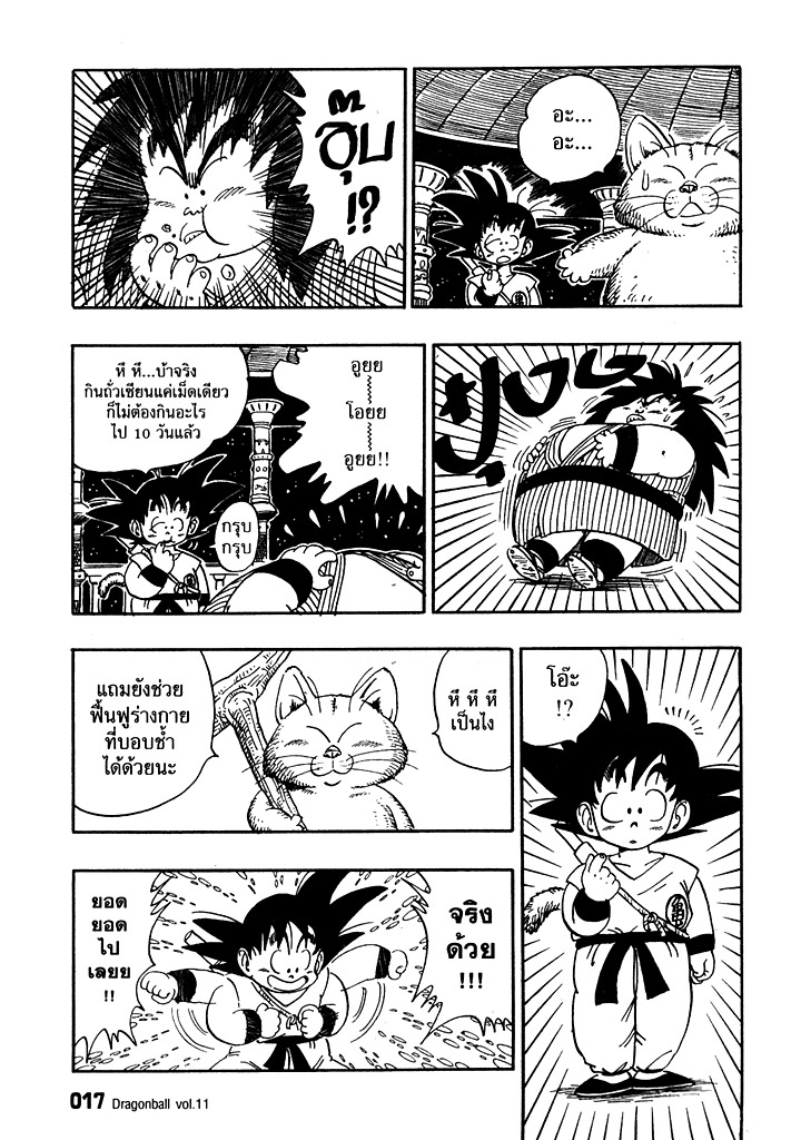 Dragon Ball - หน้า 13