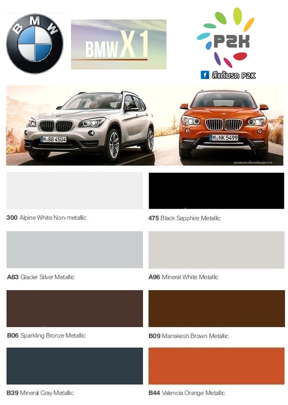 สีแต้มรถ bmw x-1