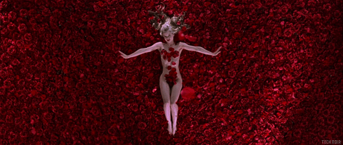 AMERICAN BEAUTY