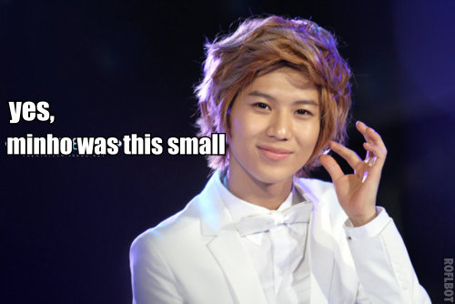 แทมิน - ของพี่มินโฮน่ะ...อันขนาดนี้ฮะ...^^ #macrosวันละนิดจิตแจ่มใส