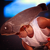 quick post
