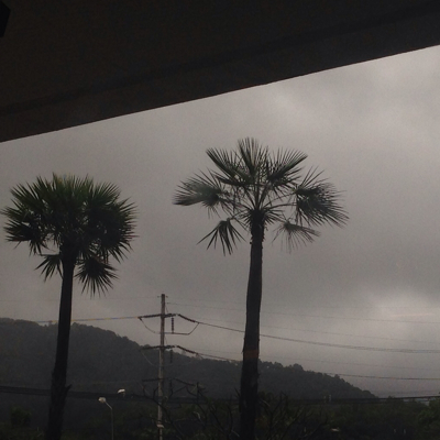 rain