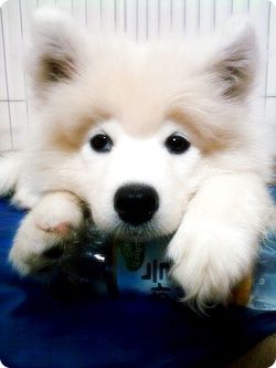 quick post