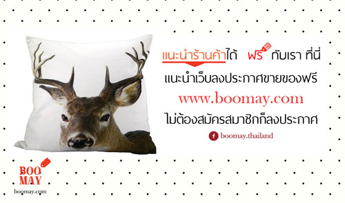 แนะนำเว็บลงประกาศขายของฟรี www.boomay.com ไม่ต้องสมัครสมาชิกก็ลงประกาศได้