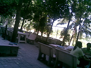 เรียน เปตอง (แต่ตอนนี้เล่น)