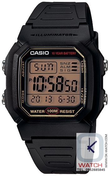 W-800HG-9AVDF, W-800HG-9AV, W-800HG-9, W-800HG-9A, W-800HG-9AVDF