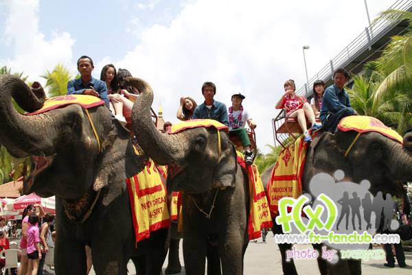 f(x) in Thailand 20-03-10:Victoria,Amber,Krystal,Sulli,Luna