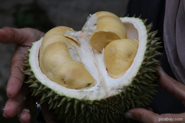 เตือนผู้ป่วย 4 โรคควรระวัง กินทุเรียนมาก ! เสี่ยงทำอาการทรุด