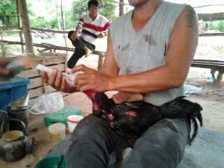 ฝากรูป