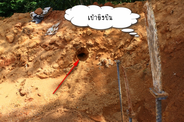 ตามติดชีวิต 'ลูกนก' part 1 : ทำเลที่ตั้งที่อยู่อาศัย