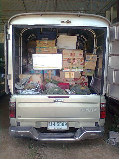 ถึงแล้วโกลก