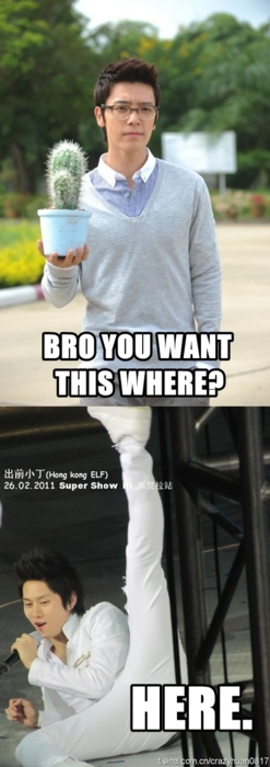 กร๊ากกกกกกกกกกกกก ฮาสาดดดดดดดดดดด #macrosวันละนิดจิตแจ่มใส