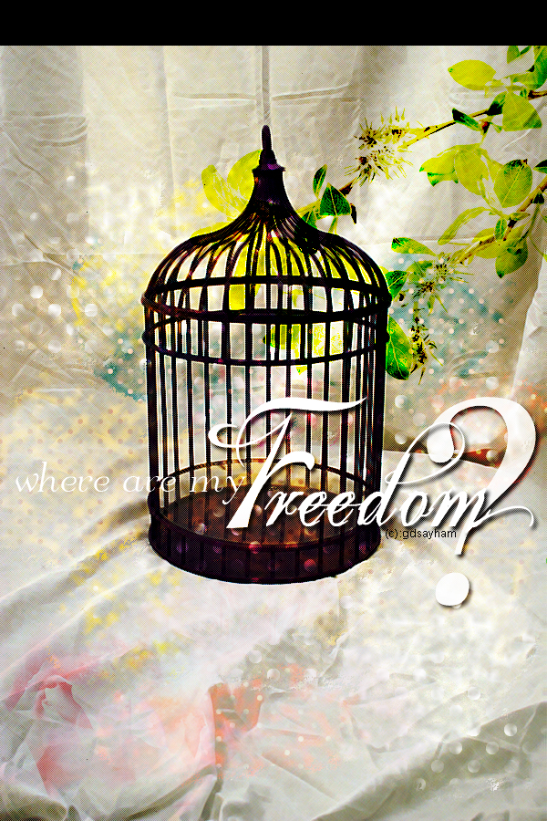 where are you, my freedom!?