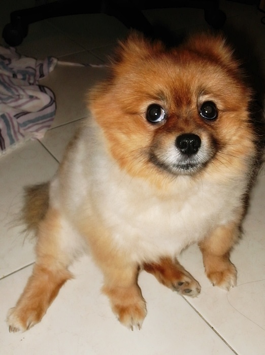 ตาไม่สามัคคี เหอๆๆ สมติ่ง