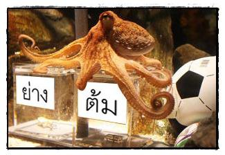 ย่าง หรือ ต้ม