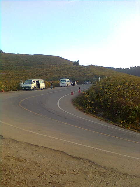 ทุงบัวตอง แม่ฮองสอน