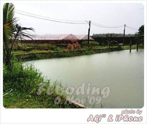 คุ้ยเจอรูปบ้านตัวเองน้ำท่วมซะงั้น lol