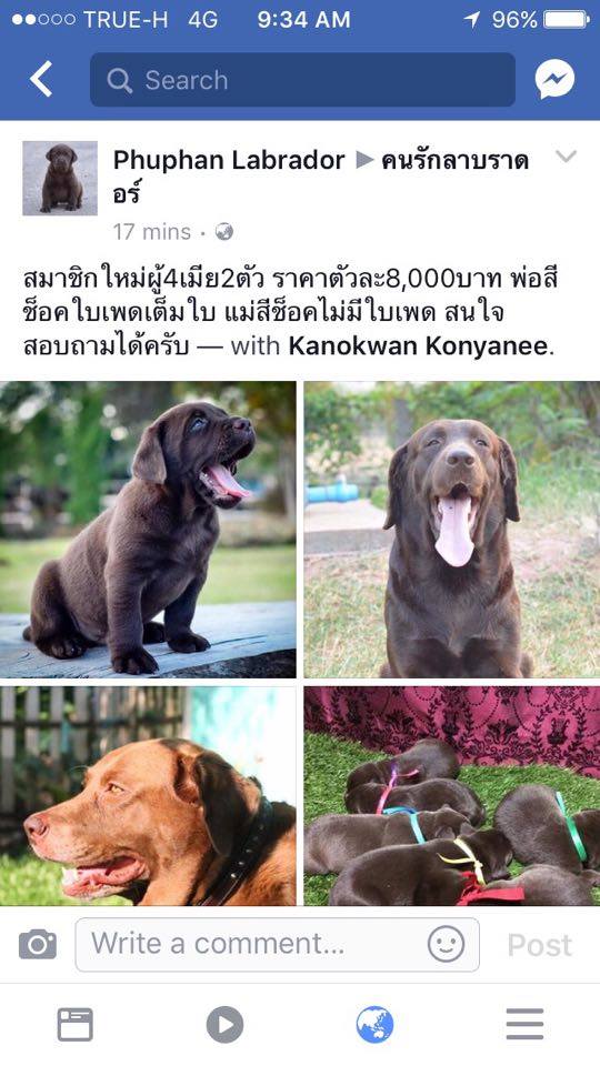 ฝากรูป