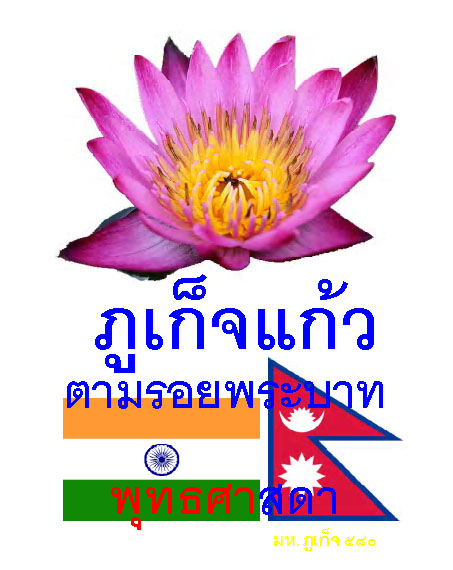 580 ตราผ้าไปอินเดีย