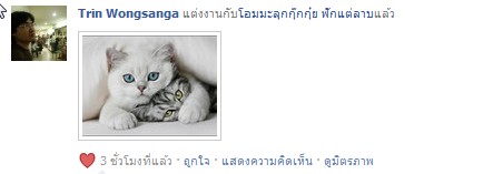 ตูเห็นสถานะของบัก @ZephyThor เป็นแต่งงานแล้ว!!!?