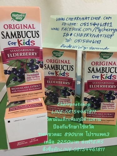 วิตามินสกัดจากผลElderberry Nature's way Sambucus for kid  สำหรับเด็กช่วยป้องกันและรักษาแก้หวัด คัดจมูก 