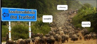 แมนยูไนเต็ดทีมที่มีแฟนบอลมากที่สุดในโลก