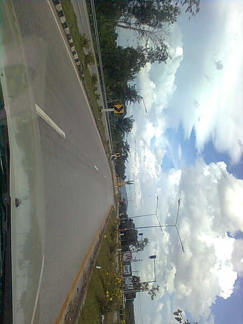 นกสันติภาพ