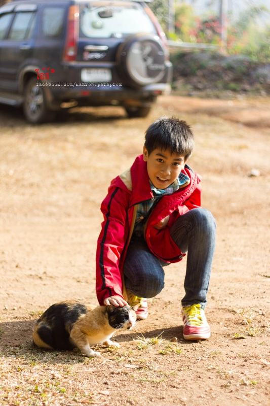 ฝากรูป
