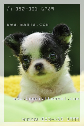 quick post