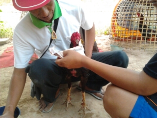 ฝากรูป
