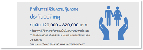 สินค้าใหม่  2