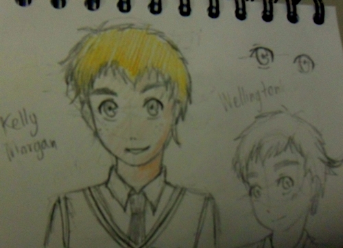 [draft] wellington ori character