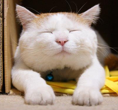 ง่วงนอน