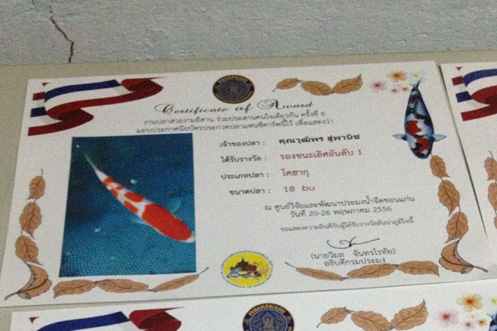 ฝากรูป