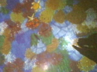 แบบนี้หลายคนคงเคยเห็น ในที่ต่างๆ on upic.me