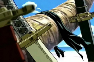 Zoro's Sword