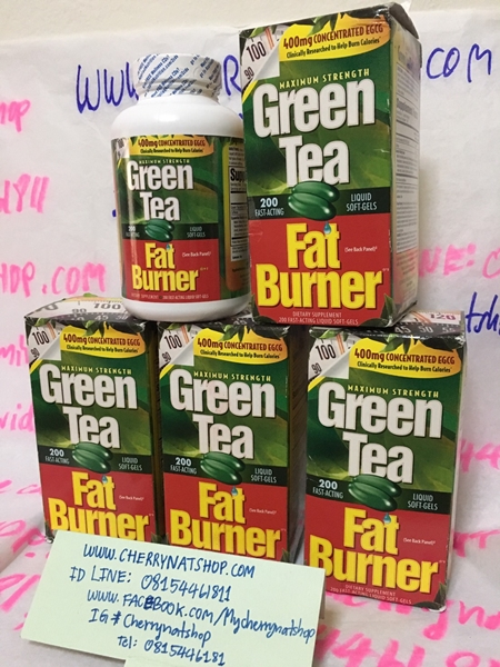 GreenTeaFatBunner By Cherrynatshop
