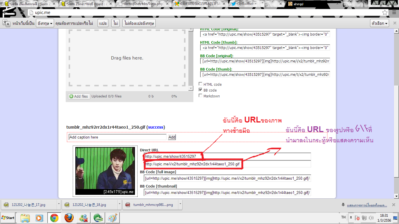LovelyDo แนะนำวิธีสร้าง URLของรูปและgif | บันเทิง | 3578739
