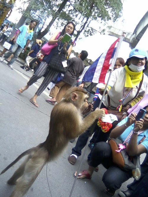 ฝากรูป