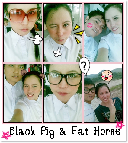 Black Pig & Fat Horse