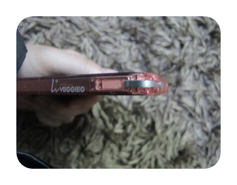 iphone4accessories-iphone4caseveggieg