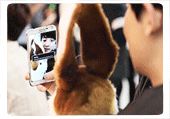 ฝากรูป
