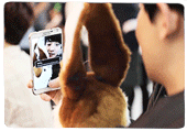 ฝากรูป