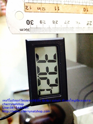 Cherrynatshopเครื่องวัดอุณหภูเทอร์โมมิเตอร์ดิจิตอล มีหัวเซ็นเซอร์ ดูจากนอกตู้ได้ วัดตู้เย็น ตู้แช่ ตู้ปลา หม้อน้ำรถยนต์