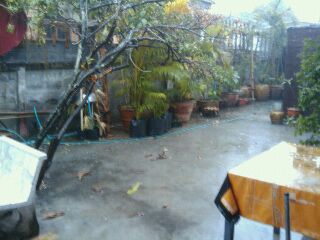 ฝนตกโคตรหนักเลยเว้ย