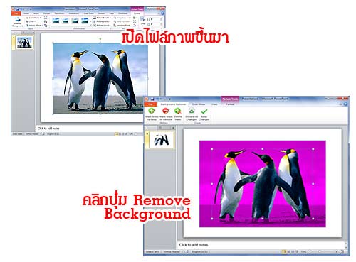 ฝากรูป