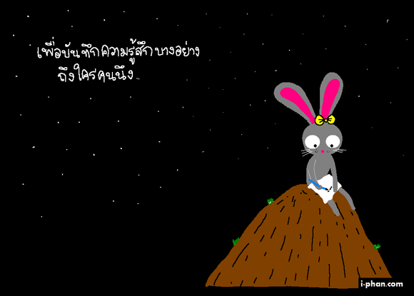 rabbit1