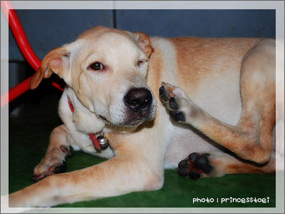 quick post