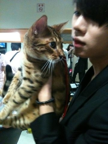 100725Inkigayoเบงชิน